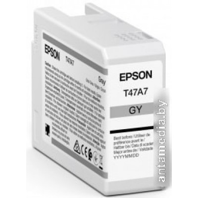 Картридж Epson C13T47A700