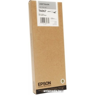 Картридж Epson C13T606700