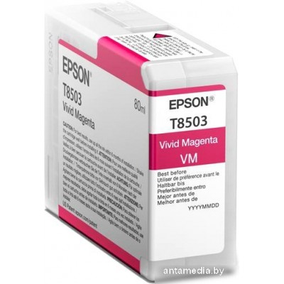 Картридж Epson C13T850300