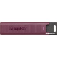 USB Flash Kingston DataTraveler Max Type-A 1TB