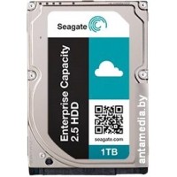 Жесткий диск Seagate Enterprise Capacity 1TB [ST1000NX0313]