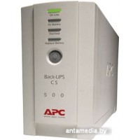 Источник бесперебойного питания APC Back-UPS CS 500VA (BK500EI)