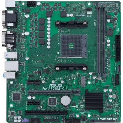 Материнская плата ASUS Pro A520M-C II/CSM