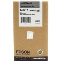 Картридж Epson C13T603700