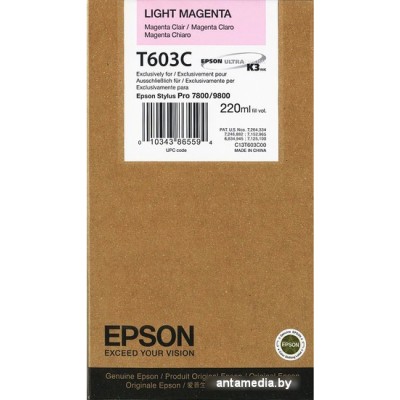 Картридж Epson C13T603C00
