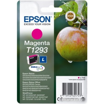 Картридж Epson C13T12934012