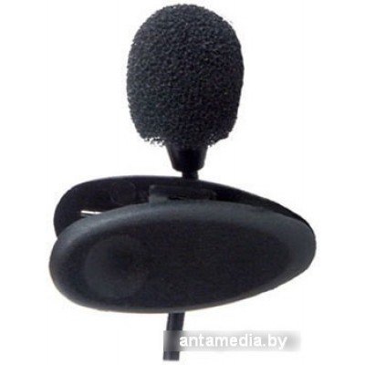 Микрофон Ritmix RCM-101