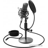 Микрофон Ritmix RDM-175