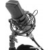 Микрофон Ritmix RDM-175
