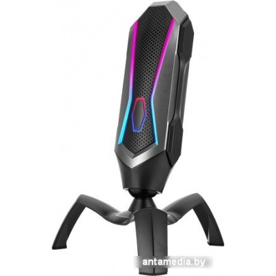 Микрофон Ritmix RDM-177