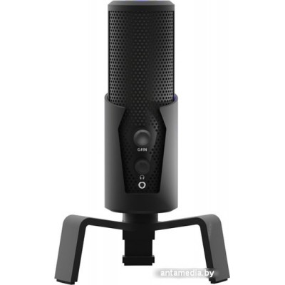 Микрофон Ritmix RDM-290 USB Eloquence