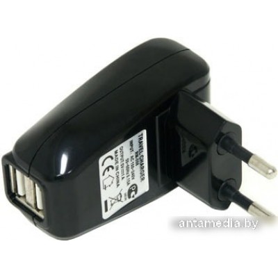 Зарядное устройство Ritmix RM-008