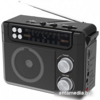 Радиоприемник Ritmix RPR-200 (черный)