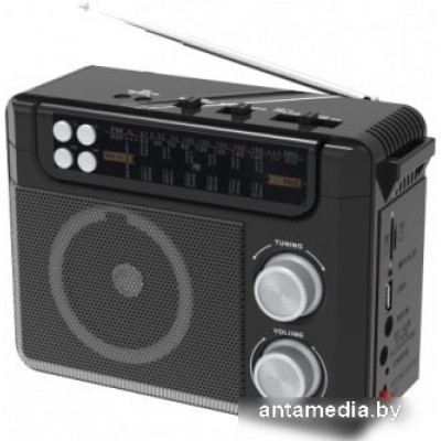 Радиоприемник Ritmix RPR-200 (черный)