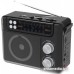 Радиоприемник Ritmix RPR-200 (черный)