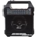 Радиоприемник Ritmix RPR-444