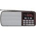 Радиоприемник Perfeo Егерь i120-BK