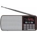 Радиоприемник Perfeo Егерь i120-BK