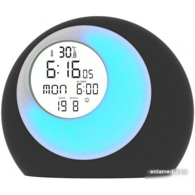 Радиочасы Ritmix RRC-680T