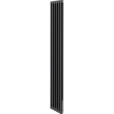 Стальной трубчатый радиатор Royal Thermo Insignia C2180 - 06 секций RAL9005m