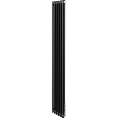 Стальной трубчатый радиатор Royal Thermo Insignia VC2180 - 06 секций RAL9005m