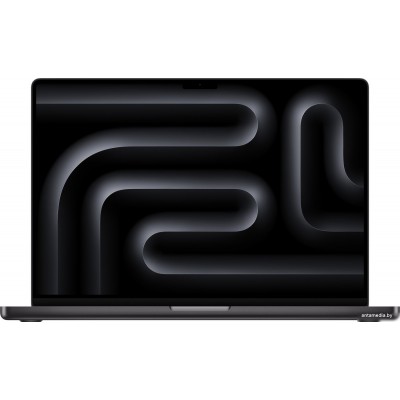 Ноутбук Apple Macbook Pro 16.2" M4 Pro 2024 MX2Y3