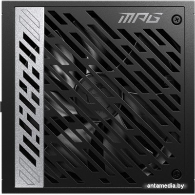 Блок питания MSI MPG A1000G PCIE5