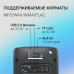 Беспроводная колонка Digma D-MC1700