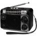 Радиоприемник Ritmix RPR-161