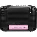 Радиоприемник Ritmix RPR-161