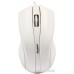 Мышь SmartBuy One 338 (белый) [SBM-338-W]
