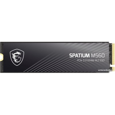 SSD MSI Spatium M560 1TB S78-440L0F0-P83