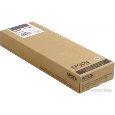 Картридж Epson C13T636700