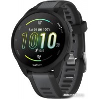 Умные часы Garmin Forerunner 165 (черный/сланцево-серый)