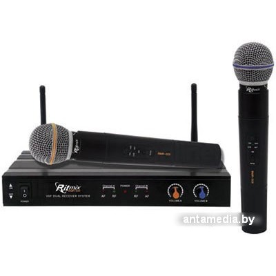 Микрофон Ritmix RWM-221