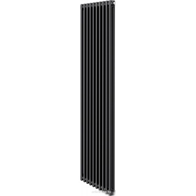 Стальной трубчатый радиатор Royal Thermo Insignia C2180 - 10 секций RAL9005m