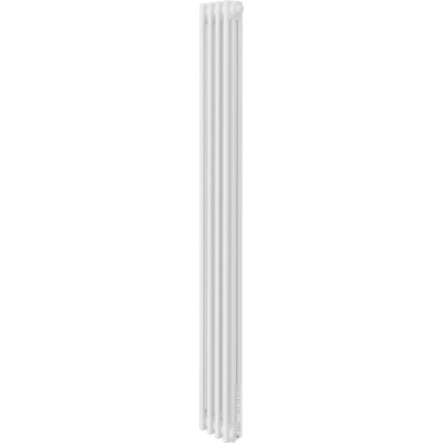 Стальной трубчатый радиатор Royal Thermo Insignia VC3180 - 04 секций RAL9016
