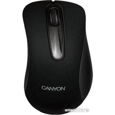 Мышь Canyon CNE-CMSW2