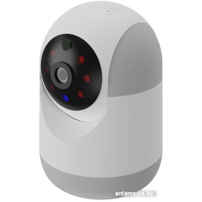IP-камера Ritmix IPC-220-Tuya