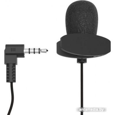 Микрофон Ritmix RCM-102