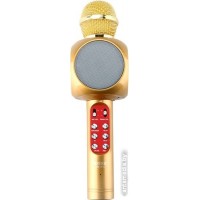 Микрофон Wster WS-1816 (золотистый)