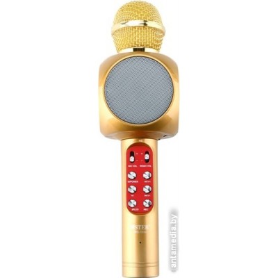 Микрофон Wster WS-1816 (золотистый)