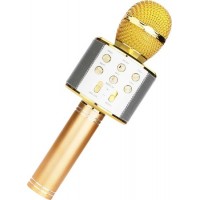 Микрофон Wster WS-858 (золотистый)