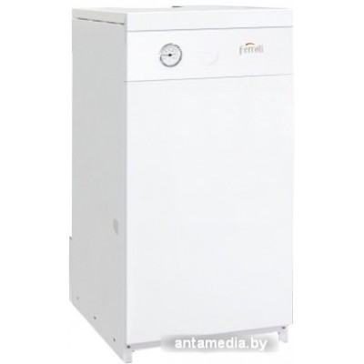 Отопительный котел Ferroli Torino 10 0QN005YA