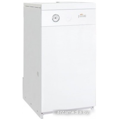 Отопительный котел Ferroli Torino 25 0QN009YA