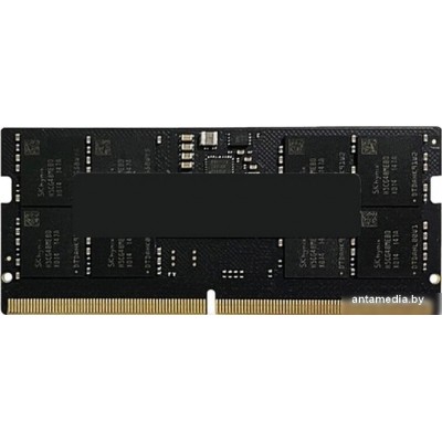 Оперативная память AMD Radeon R5 Entertainment Series 32ГБ DDR5 4800 МГц R5532G4800S2S-U