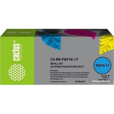 Сервисный набор CACTUS CS-RK-F6V16-17