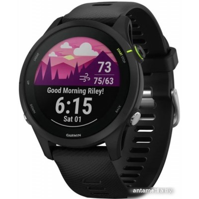 Умные часы Garmin Forerunner 255 Music 46 мм (черный)