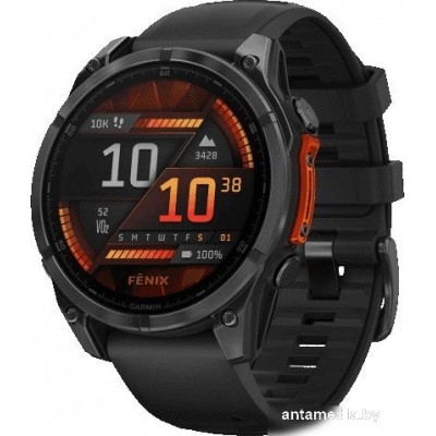Умные часы Garmin Fenix 8 47мм (серый, черный силиконовый ремешок)