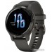 Умные часы Garmin Venu 2S (сланцевая нержавеющая сталь/черный)